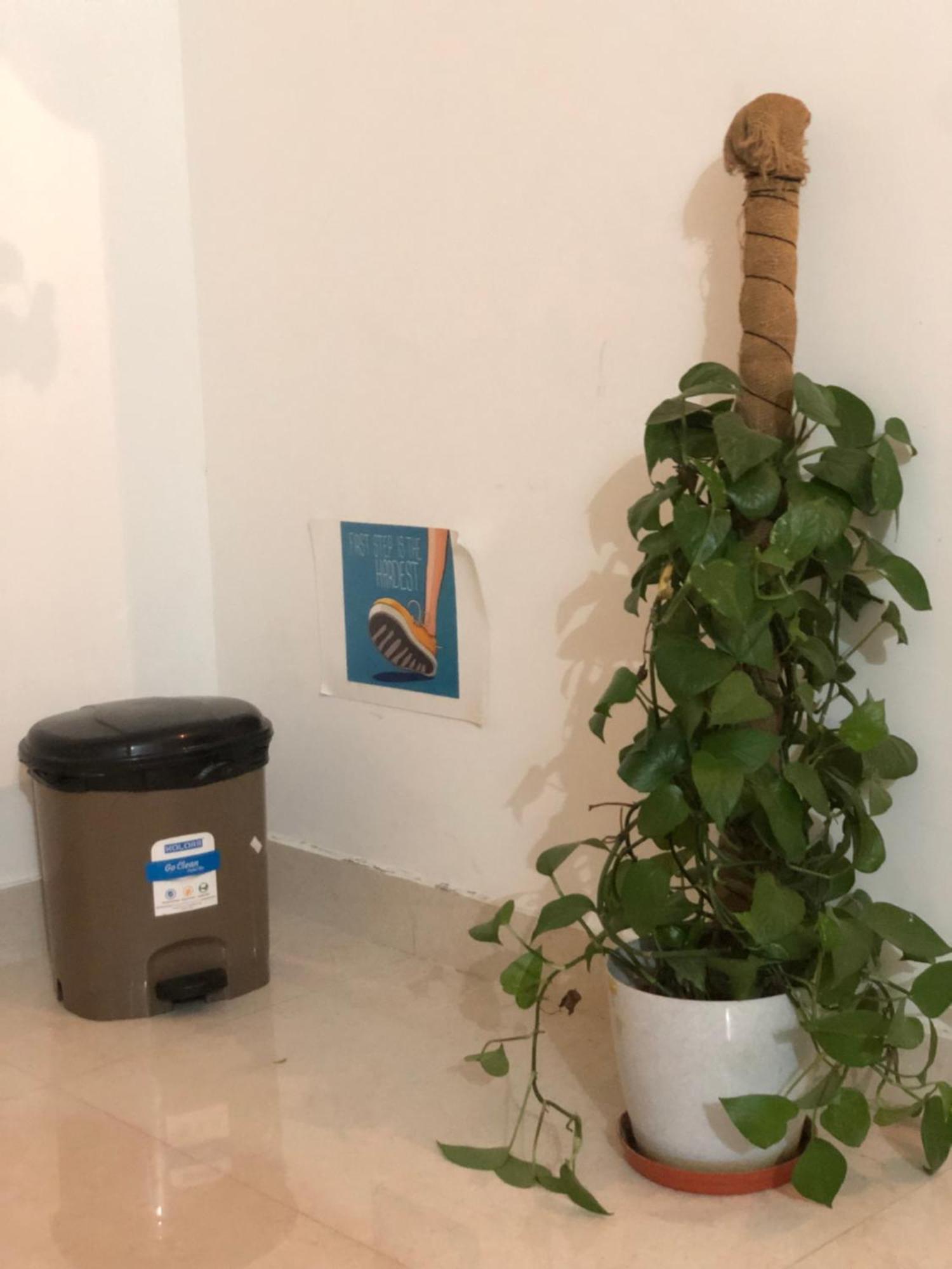 Sapthagiri Nest Appartement Chikmagalūr Buitenkant foto